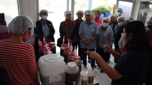 หลักสูตรบ่มเพาะ SME -c23