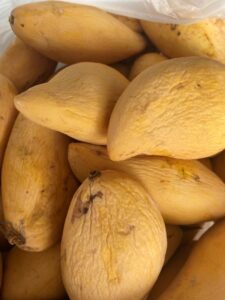 หลักสูตรบ่มเพาะ SME -c10